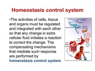 Homeostasis control system
•The activities of cells, tissue
and organs must be regulated
and integrated with each other
so that any change in extra
cellular fluid initiates a reaction
to correct the change. The
compensating mechanisms
that mediate such response
are performed by
homeostasis control system
 