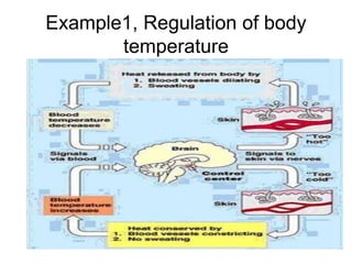 Example1, Regulation of body
temperature
 