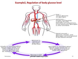 Example2, Regulation of body glucose level
hemostasis jamilah saad Alqahtani 21
 