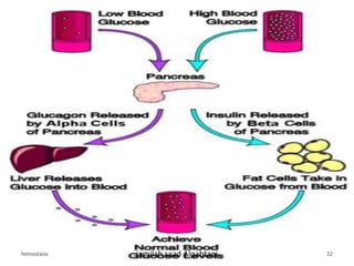 hemostasis jamilah saad Alqahtani 22
 