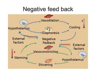 Negative feed back
 
