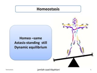 Homeostasis
Homeo –same
Astasis-standing still
Dynamic equilibrium
hemostasis jamilah saad Alqahtani 5
 