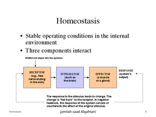 hemostasis jamilah saad Alqahtani 8
 