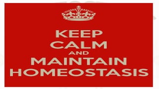 Homeostasis