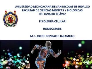 UNIVERSIDAD MICHOACANA DE SAN NICOLÁS DE HIDALGO
FACULTAD DE CIENCIAS MÉDICAS Y BIOLÓGICAS
DR. IGNACIO CHÁVEZ
FISIOLOGÍA CELULAR
HOMEOSTASIS
M.C. JORGE GONZALES JARAMILLO
 