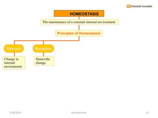 Principles of Homeostasis
Stimulus
Change in
internal
environment
HOMEOSTASIS
The maintenance of a constant internal envir...