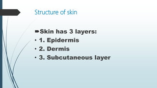 Structure of skin
Skin has 3 layers:
• 1. Epidermis
• 2. Dermis
• 3. Subcutaneous layer
 