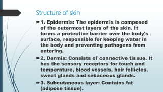 Structure of skin
1. Epidermis: The epidermis is composed
of the outermost layers of the skin. It
forms a protective barrier over the body's
surface, responsible for keeping water in
the body and preventing pathogens from
entering.
2. Dermis: Consists of connective tissue. It
has the sensory receptors for touch and
temperature, blood vessels, hair follicles,
sweat glands and sebaceous glands.
3. Subcutaneous layer: Contains fat
(adipose tissue).
 