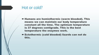 Hot or cold?
 Humans are homiothermic (warm blooded). This
means we can maintain our body temperature
constant all the time. The optimum temperature
is 37 degrees centigrade. This is the best
temperature the enzymes work.
 Ectothermic (cold blooded) lizards can not do
this.
 
