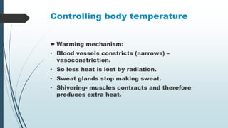 Controlling body temperature
 Warming mechanism:
• Blood vessels constricts (narrows) –
vasoconstriction.
• So less heat is lost by radiation.
• Sweat glands stop making sweat.
• Shivering- muscles contracts and therefore
produces extra heat.
 