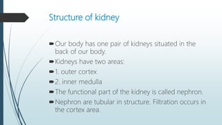 Structure of kidney
Our body has one pair of kidneys situated in the
back of our body.
Kidneys have two areas:
1. outer cortex
2. inner medulla
The functional part of the kidney is called nephron.
Nephron are tubular in structure. Filtration occurs in
the cortex area.
 
