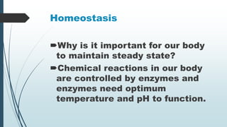 Homeostasis
Why is it important for our body
to maintain steady state?
Chemical reactions in our body
are controlled by enzymes and
enzymes need optimum
temperature and pH to function.
 