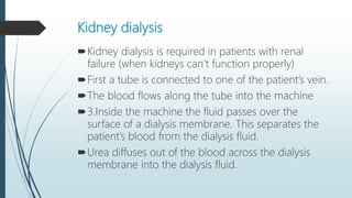 Kidney dialysis
Kidney dialysis is required in patients with renal
failure (when kidneys can’t function properly)
First a tube is connected to one of the patient’s vein.
The blood flows along the tube into the machine
3.Inside the machine the fluid passes over the
surface of a dialysis membrane. This separates the
patient’s blood from the dialysis fluid.
Urea diffuses out of the blood across the dialysis
membrane into the dialysis fluid.
 