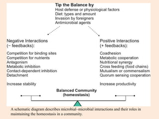 A schematic diagram describes microbial–microbial interactions and their roles in
maintaining the homeostasis in a community.
 
