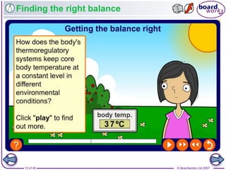 © Boardworks Ltd 200713 of 40
Finding the right balance
 