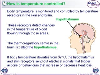 © Boardworks Ltd 200714 of 40
How is temperature controlled?
Body temperature is monitored and controlled by temperature
receptors in the skin and brain.
hypothalamus
These receptors detect changes
in the temperature of blood
flowing through those areas.
The thermoregulatory centre in the
brain is called the hypothalamus.
If body temperature deviates from 37°C, the hypothalamus
and skin receptors send out electrical signals that trigger
actions or behaviours that increase or decrease heat loss.
 