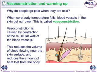 © Boardworks Ltd 200717 of 40
Vasoconstriction and warming up
Why do people go pale when they are cold?
Vasoconstriction is
caused by contraction
of the muscular wall of
the blood vessels.
When core body temperature falls, blood vessels in the
skin get narrower. This is called vasoconstriction.
This reduces the volume
of blood flowing near the
skin surface, and
reduces the amount of
heat lost from the body.
 