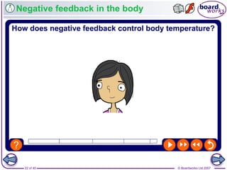 © Boardworks Ltd 200722 of 40
Negative feedback in the body
 