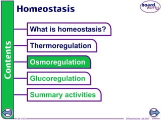 © Boardworks Ltd 200724 of 40
 