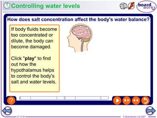 © Boardworks Ltd 200727 of 40
Controlling water levels
 