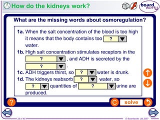 © Boardworks Ltd 200728 of 40
How do the kidneys work?
 