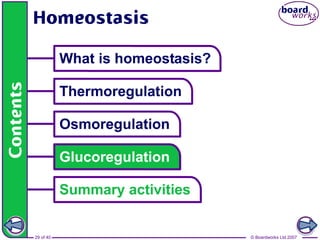 © Boardworks Ltd 200729 of 40
 