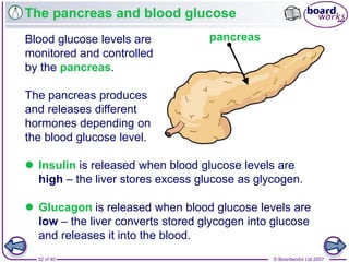 © Boardworks Ltd 200732 of 40
The pancreas and blood glucose
Blood glucose levels are
monitored and controlled
by the pancreas.
The pancreas produces
and releases different
hormones depending on
the blood glucose level.
pancreas
 Insulin is released when blood glucose levels are
high – the liver stores excess glucose as glycogen.
 Glucagon is released when blood glucose levels are
low – the liver converts stored glycogen into glucose
and releases it into the blood.
 