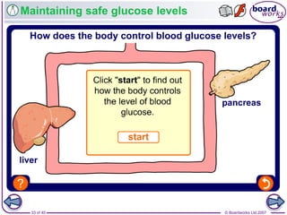 © Boardworks Ltd 200733 of 40
Maintaining safe glucose levels
 