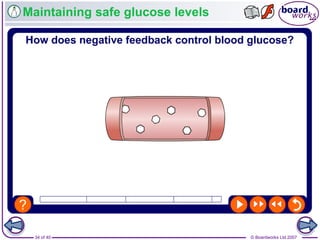© Boardworks Ltd 200734 of 40
Maintaining safe glucose levels
 