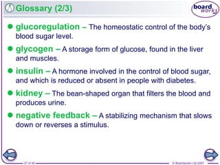 © Boardworks Ltd 200737 of 40
Glossary (2/3)
 glucoregulation – The homeostatic control of the body’s
blood sugar level.
 glycogen – A storage form of glucose, found in the liver
and muscles.
 insulin – A hormone involved in the control of blood sugar,
and which is reduced or absent in people with diabetes.
 kidney – The bean-shaped organ that filters the blood and
produces urine.
 negative feedback – A stabilizing mechanism that slows
down or reverses a stimulus.
 