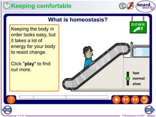 © Boardworks Ltd 20076 of 40
Keeping comfortable
 