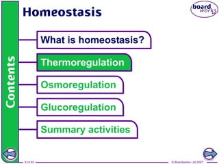 © Boardworks Ltd 20078 of 40
 