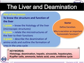 1 of 37 © Boardworks Ltd 2009
Aim of the Lesson:
To know the structure and function of
the liver
C grade – know the histology of the liver
(microscopic structures)
B grade – relate the microstructures of
the liver to their functions
A grade – describe the deamination of
amino acids and outline the formation of
urea in the urea cycle
Starter
Define Excretion.
Why is excretion an important
homeostatic function?
KEYWORDS:
Histology, deamination, hepatic, sinusoids, hepatocytes,
Kupffer cells, ammonia, ketoic acid, urea, ornithine cycle
 