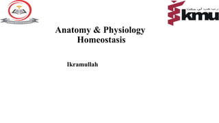 Anatomy & Physiology
Homeostasis
Ikramullah
 