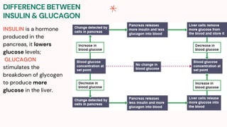 DIFFERENCE BETWEEN
INSULIN & GLUCAGON
INSULIN is a hormone
produced in the
pancreas, it lowers
glucose levels;
GLUCAGON
stimulates the
breakdown of glycogen
to produce more
glucose in the liver.
 