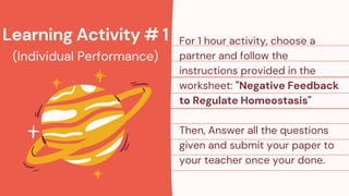 Learning Activity # 1
(Individual Performance)
For 1 hour activity, choose a
partner and follow the
instructions provided in the
worksheet: "Negative Feedback
to Regulate Homeostasis"
Then, Answer all the questions
given and submit your paper to
your teacher once your done.
 
