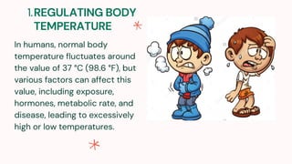 REGULATING BODY
TEMPERATURE
1.
In humans, normal body
temperature fluctuates around
the value of 37 °C (98.6 °F), but
various factors can affect this
value, including exposure,
hormones, metabolic rate, and
disease, leading to excessively
high or low temperatures.
 