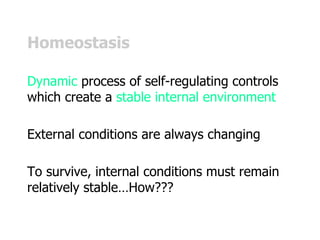 Homeostasis
Dynamic process of self-regulating controls
which create a stable internal environment
External conditions are always changing
To survive, internal conditions must remain
relatively stable…How???
 