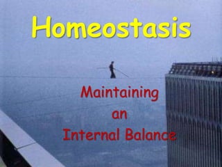 Homeostasis
Maintaining
an
Internal Balance
 