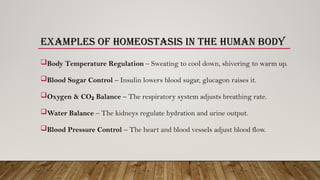 Homeostasis and feedback mechanism with their types-B.Pharmacy 1st year ...