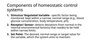 Homeostasis, Homeostatic Control systems, Feedback Mechanisms of ...