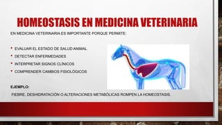 HOMEOSTASIS EN MEDICINA VETERINARIA
EN MEDICINA VETERINARIA ES IMPORTANTE PORQUE PERMITE:
• EVALUAR EL ESTADO DE SALUD ANIMAL
• DETECTAR ENFERMEDADES
• INTERPRETAR SIGNOS CLÍNICOS
• COMPRENDER CAMBIOS FISIOLÓGICOS
EJEMPLO:
FIEBRE, DESHIDRATACIÓN O ALTERACIONES METABÓLICAS ROMPEN LA HOMEOSTASIS.
 