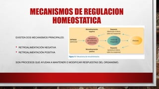 MECANISMOS DE REGULACION
HOMEOSTATICA
EXISTEN DOS MECANISMOS PRINCIPALES:
• RETROALIMENTACIÓN NEGATIVA
• RETROALIMENTACIÓN POSITIVA
SON PROCESOS QUE AYUDAN A MANTENER O MODIFICAR RESPUESTAS DEL ORGANISMO.
 