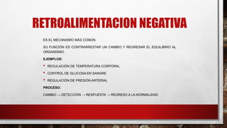 RETROALIMENTACION NEGATIVA
ES EL MECANISMO MÁS COMÚN.
SU FUNCIÓN ES CONTRARRESTAR UN CAMBIO Y REGRESAR EL EQUILIBRIO AL
ORGANISMO.
EJEMPLOS:
• REGULACIÓN DE TEMPERATURA CORPORAL
• CONTROL DE GLUCOSA EN SANGRE
• REGULACIÓN DE PRESIÓN ARTERIAL
PROCESO:
CAMBIO → DETECCIÓN → RESPUESTA → REGRESO A LA NORMALIDAD
 