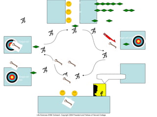 mulut
perut
usus
Pancreas
ß-cells
Target sel
otot
Target sel
hati
Target sel otak
Peredaran darah
“Hold insulin production”
Insulin telah
diteruskan
menargetkan sel
ke.target
sekarang dapat
menerima
glukosa
http://commons.wikimedia.org/wiki/File:Pictgram_running_man.svg
http://en.wikipedia.org/wiki/File:Archery_Target_80cm.svg
http://en.wikipedia.org/wiki/File:Llave_bronce.jpg
http://commons.wikimedia.org/wiki/File:Day-template.svg
http://commons.wikimedia.org/wiki/File:Icon_announcer.svgLife Sciences-HHMI Outreach. Copyright 2009 President and Fellows of Harvard College.
 