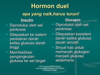 Life Sciences-HHMI Outreach.
Copyright 2009 President and Fellows
of Harvard College.
Hormon duelHormon duel
apa yang naik,harus turun!apa yang naik,harus turun!
InsulinInsulin
 Diproduksi oleh selDiproduksi oleh sel
pankreaspankreas
 Dilepaskan ke sistemDilepaskan ke sistem
peredaran darahperedaran darah
ketika glukosa darahketika glukosa darah
tinggitinggi
 MemfasilitasiMemfasilitasi
pengangkutanpengangkutan
glukosa ke sel targetglukosa ke sel target
GlucagonGlucagon
 Diproduksi oleh selDiproduksi oleh sel
pankreaspankreas
 Dilepaskan kesistemDilepaskan kesistem
darah ketika glukosadarah ketika glukosa
darah rendahdarah rendah
 Sinyal hati untukSinyal hati untuk
memecah glukogenmemecah glukogen
menjadi glukosamenjadi glukosa
sederhanasederhana
 