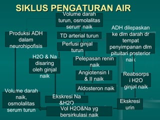 SIKLUS PENGATURAN AIRSIKLUS PENGATURAN AIR
Volume darah
turun, osmolalitas
serum naik
TD arterial turun
Perfusi ginjal
turun
Produksi ADH
dalam
neurohipofisis
ADH dilepaskan
ke dlm darah dr
tempat
penyimpanan dlm
pituitari posterior
naik
H2O & Na
disaring
oleh ginjal
naik
Pelepasan renin
naik
Angiotensin I
& II naik
Aldosteron naikVolume darah
naik,
osmolalitas
serum turun
Ekskresi Na
&H2O
Vol H2O&Na yg
bersirkulasi naik
Reabsorps
i H2O
ginjal naik
Ekskresi
urin
 