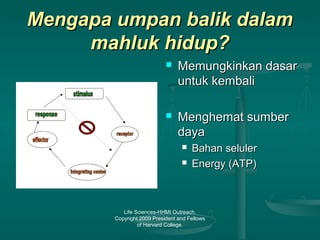 Life Sciences-HHMI Outreach.
Copyright 2009 President and Fellows
of Harvard College.
Mengapa umpan balik dalamMengapa umpan balik dalam
mahluk hidup?mahluk hidup?
 Memungkinkan dasarMemungkinkan dasar
untuk kembaliuntuk kembali
 Menghemat sumberMenghemat sumber
dayadaya
 Bahan selulerBahan seluler
 Energy (ATP)Energy (ATP)
 