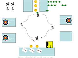 mulut
perut
usus
Pancreas
ß-sel
Target sel
otot
Target sel
hati
Target sel otak
Peredaran darah
Permainan set up
http://commons.wikimedia.org/wiki/File:Pictgram_running_man.svg
http://en.wikipedia.org/wiki/File:Archery_Target_80cm.svg
http://en.wikipedia.org/wiki/File:Llave_bronce.jpg
http://commons.wikimedia.org/wiki/File:Day-template.svg
http://commons.wikimedia.org/wiki/File:Icon_announcer.svg
Life Sciences-HHMI Outreach. Copyright 2009 President and Fellows of Harvard College.
 