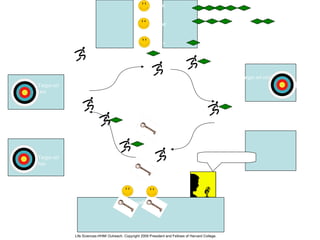 mulut
perut
usus
Pancreas
ß-cells
Target sel
otot
Target sel
hati
Target sel otak
Peredaran darah
“Glucose!! Release the insulin!”
Insulin telah
diteruskan
menargetkan sel
ke.target sekarang
dapat menerima
glukosahttp://commons.wikimedia.org/wiki/File:Pictgram_running_man.svg
http://en.wikipedia.org/wiki/File:Archery_Target_80cm.svg
http://en.wikipedia.org/wiki/File:Llave_bronce.jpg
http://commons.wikimedia.org/wiki/File:Day-template.svg
http://commons.wikimedia.org/wiki/File:Icon_announcer.svg
Life Sciences-HHMI Outreach. Copyright 2009 President and Fellows of Harvard College.
 